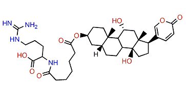 3-(N-Pimeloyl argininyl)-gamabufotalin